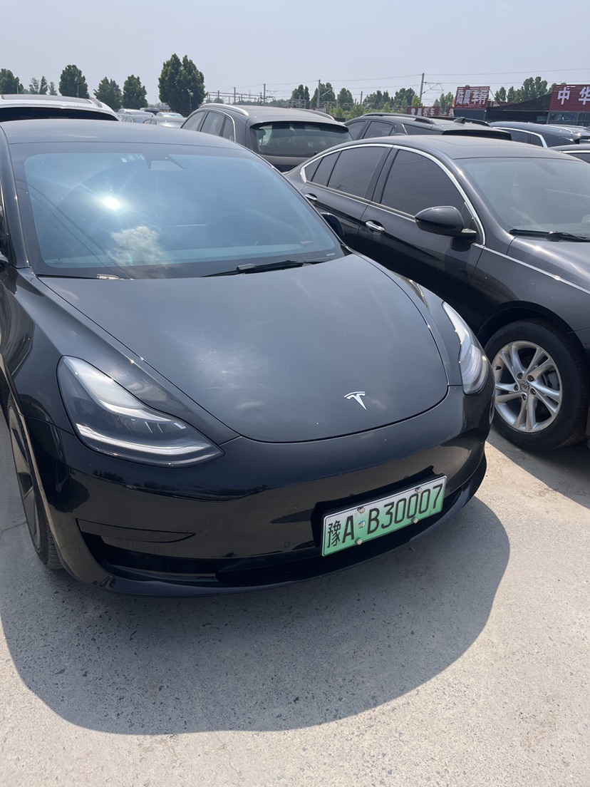 Tesla Model 3 2021 #3 Tesla Model 3 2021 car image #3