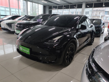 Tesla Model Y 2022 immagine di auto 