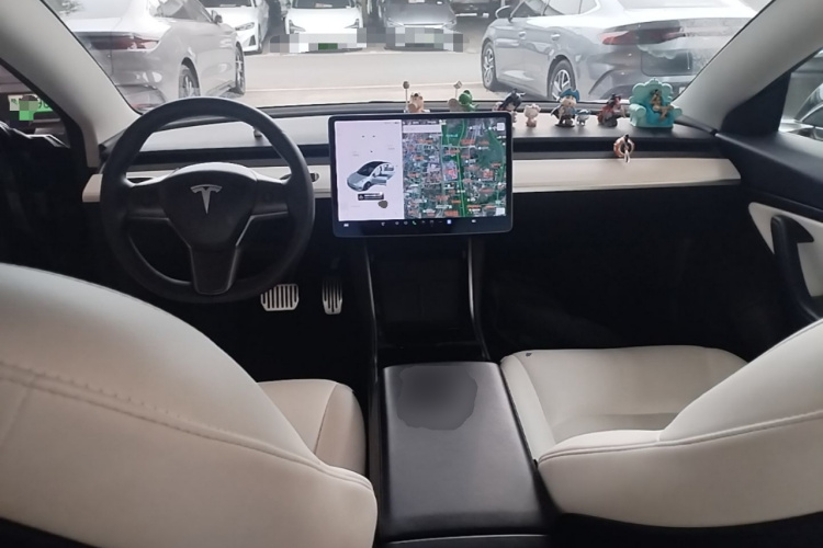 Tesla Model 3 2020 car image #10
