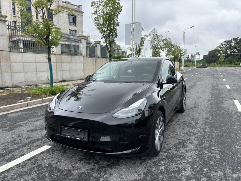 Tesla Model Y 2022 Tesla Model Y 2022 car image