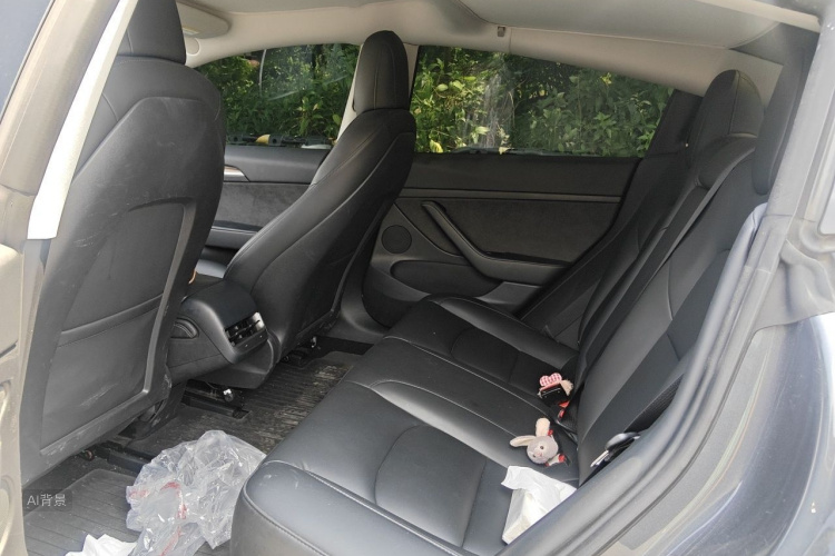 Tesla Model 3 2021 car image #19