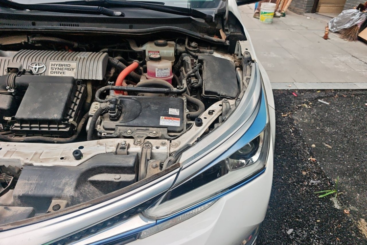 Toyota Corolla Hybird E+ 2019 #29 Toyota Corolla Hybird E+ 2019 immagine di auto #29