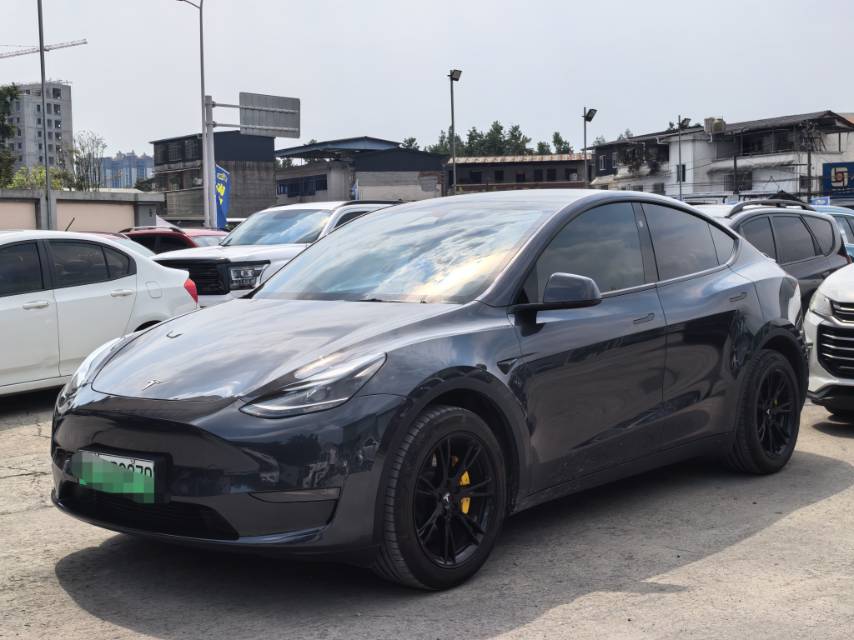 Tesla Model Y 2024 car image 