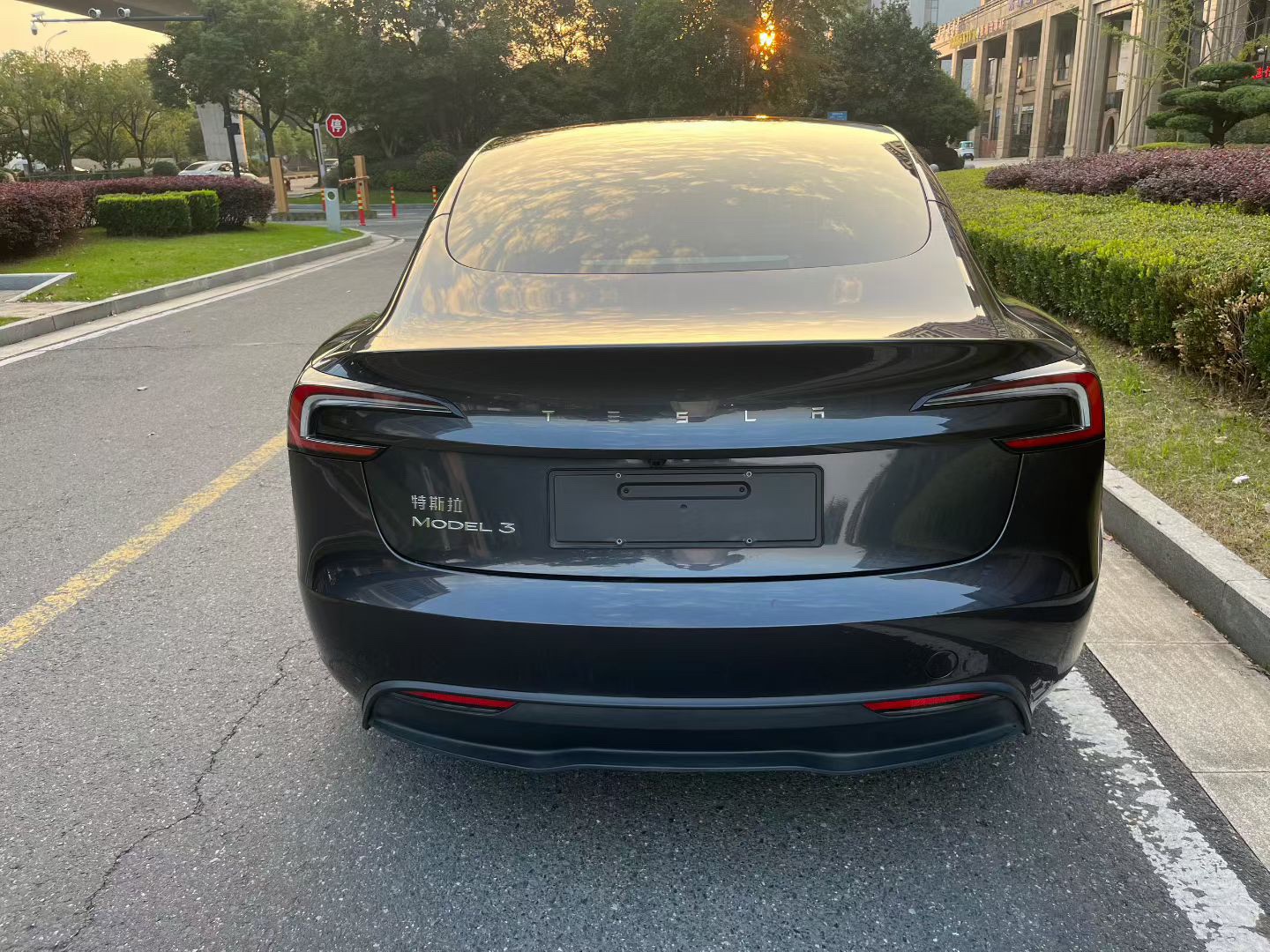 Tesla Model 3 2025 #9 Tesla Model 3 2025 immagine di auto #9