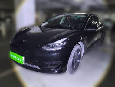 Tesla Model 3 2020 Tesla Model 3 2020 car image