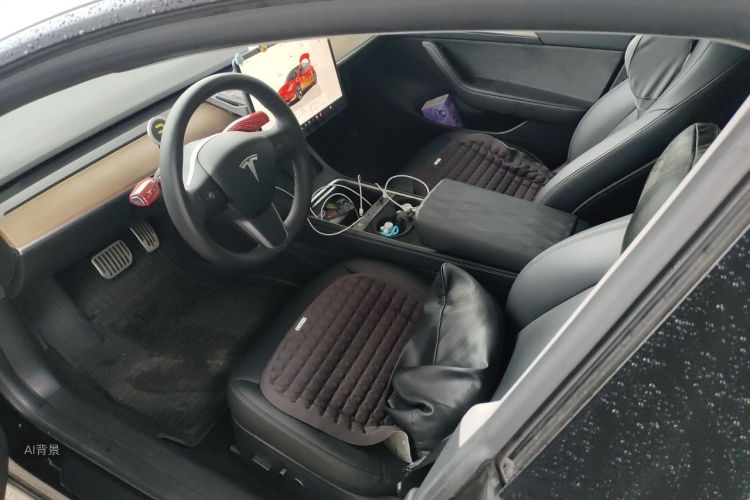 Tesla Model 3 2022 car image #17