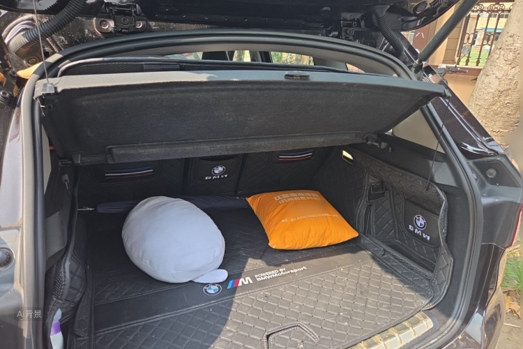 BMW X1 2017 car image #21