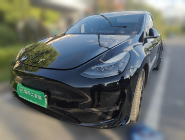 Tesla Model Y 2021 Tesla Model Y 2021 car image