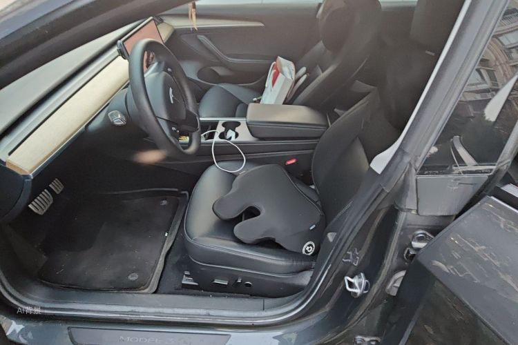Tesla Model 3 2022 #17 Tesla Model 3 2022 صورة سيارة #17