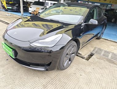 Tesla Model 3 2023 car image 