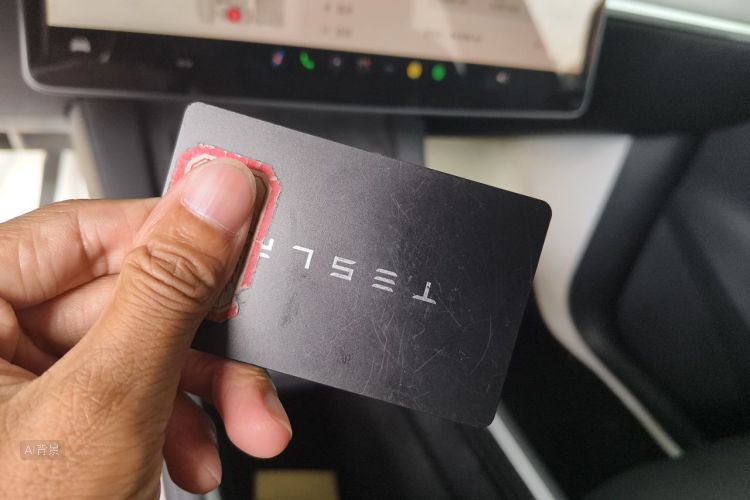 Tesla Model Y 2023 #10 Tesla Model Y 2023 car image #10