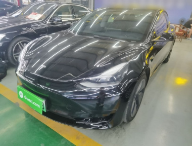 Tesla Model 3 2021 Tesla Model 3 2021 car image