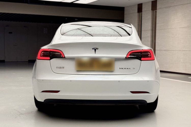 Tesla Model 3 2020 car image #4