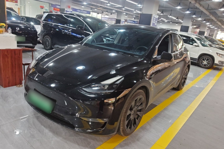 Tesla Model Y 2021 #2 Tesla Model Y 2021 car image #2