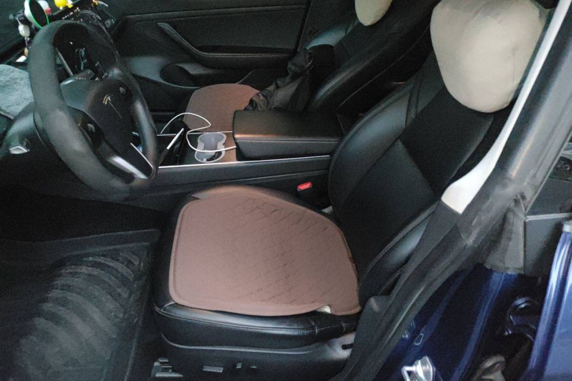 Tesla Model 3 2020 #20 Tesla Model 3 2020 car image #20
