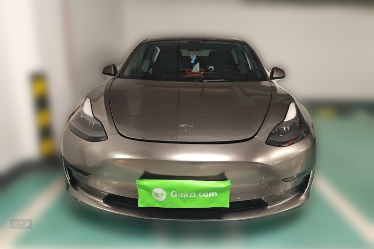 Tesla Model 3 2021 car image #3