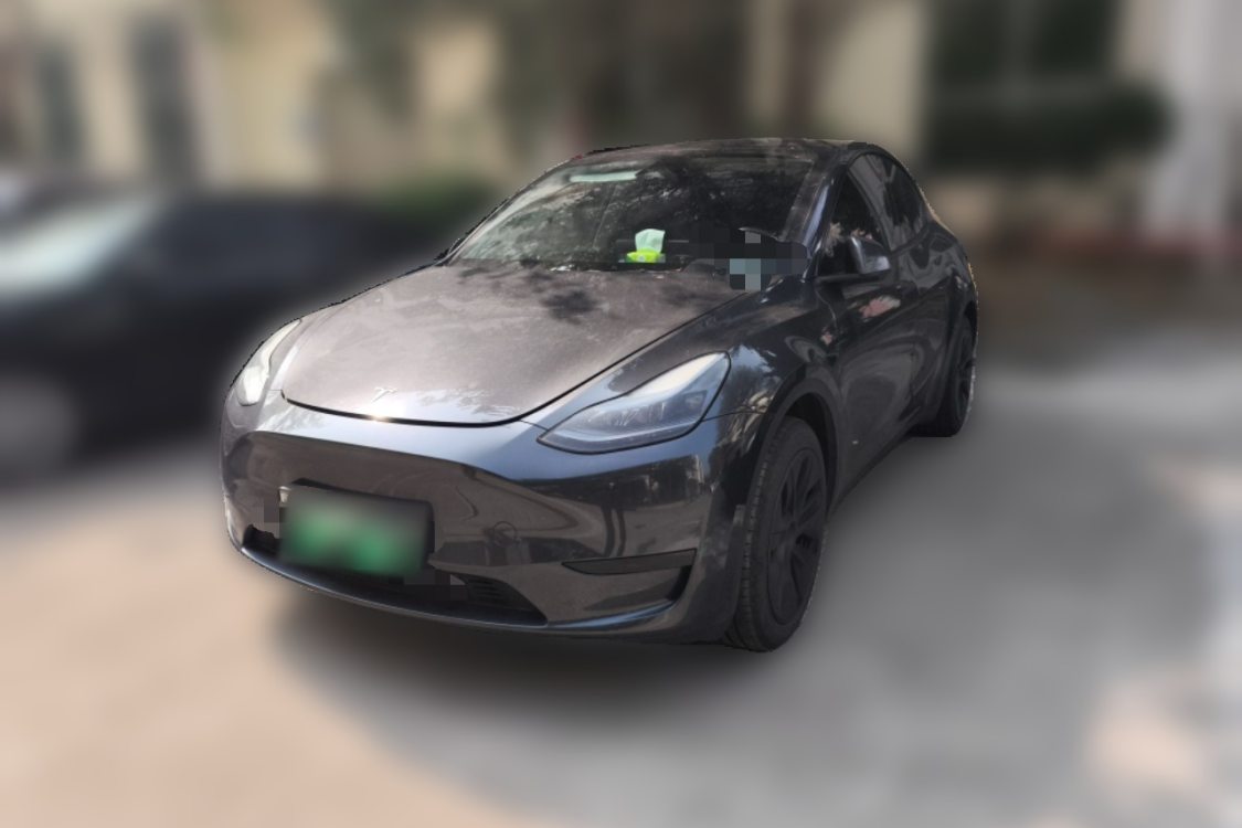 Tesla Model Y 2024 Tesla Model Y 2024 car image