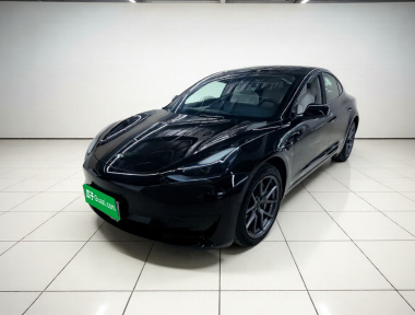Tesla Model 3 2023 Tesla Model 3 2023 car image