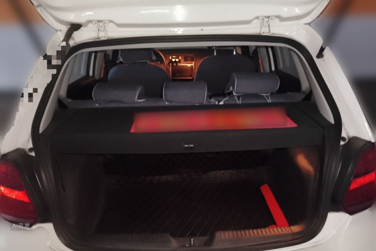 Volkswagen Polo 2017 car image #21