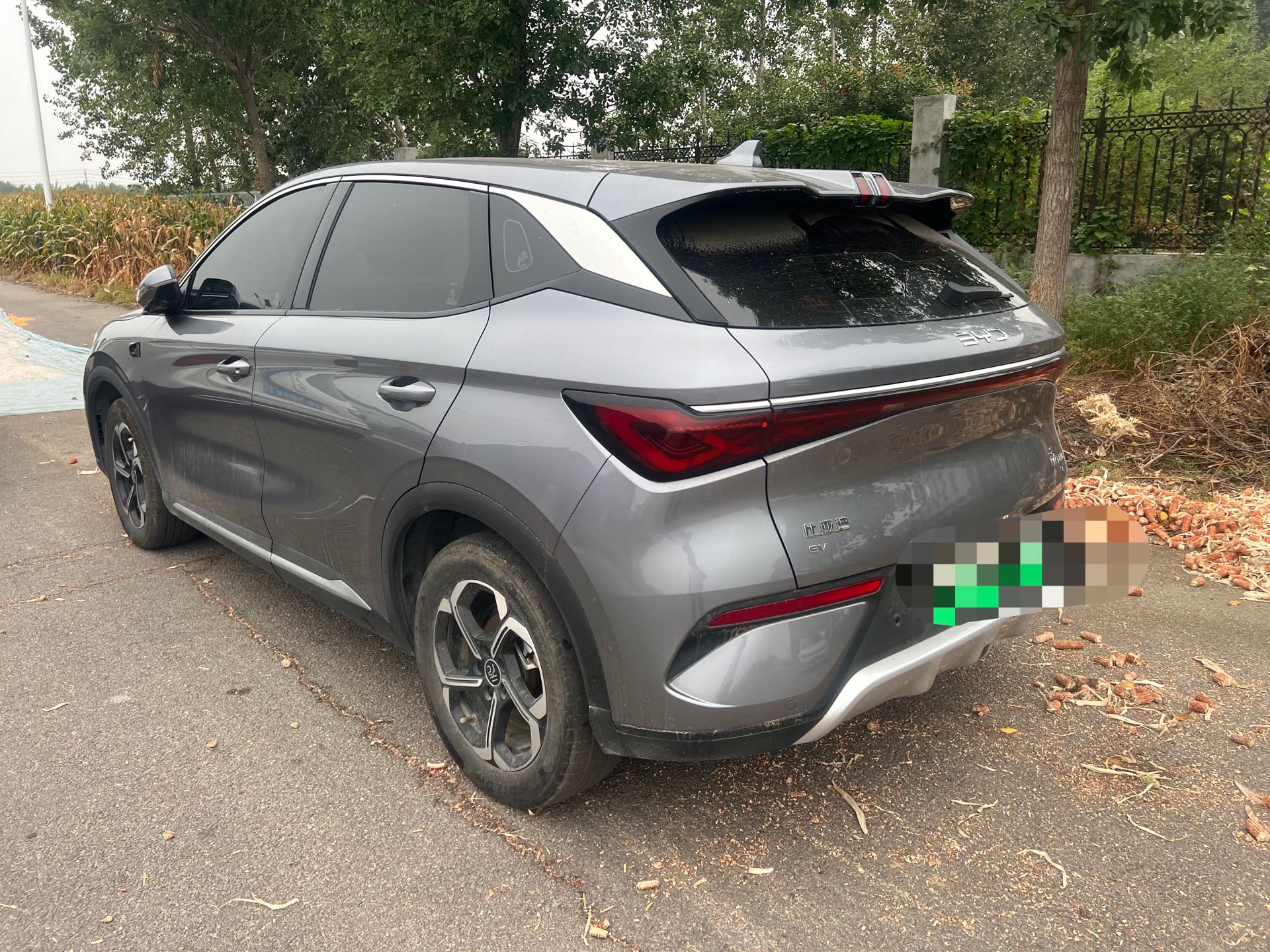 BYD Yuan Plus 2025 car image #4