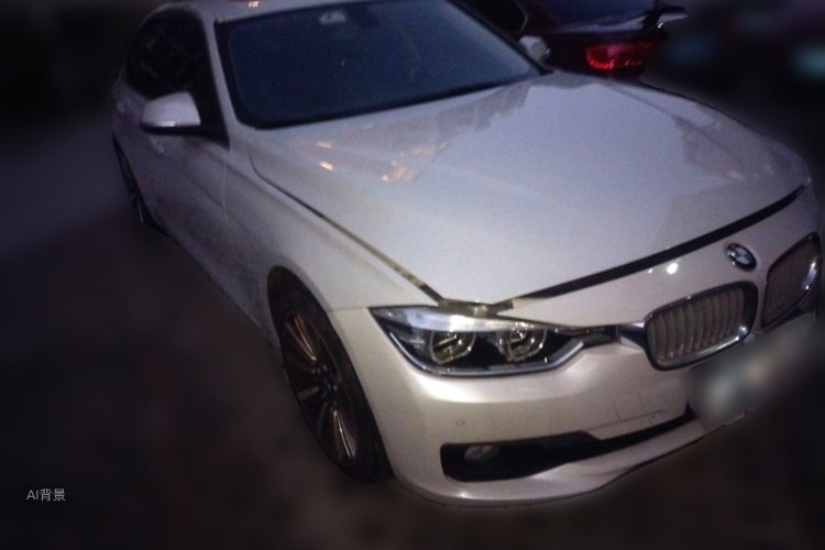 BMW 3 Series 2019 car image #4