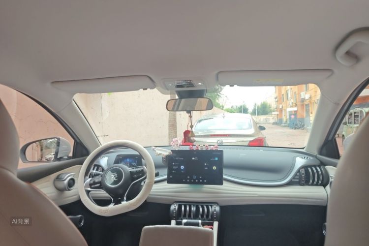 BYD Yuan Plus 2024 car image #20