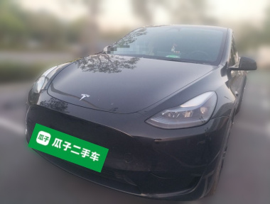 Tesla Model Y 2024 Tesla Model Y 2024 car image
