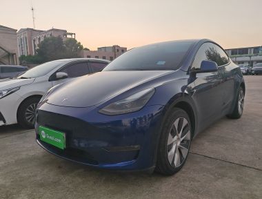 Tesla Model Y 2021 Tesla Model Y 2021 car image