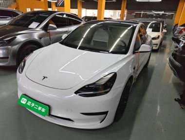 Tesla Model 3 2021 Tesla Model 3 2021 immagine di auto