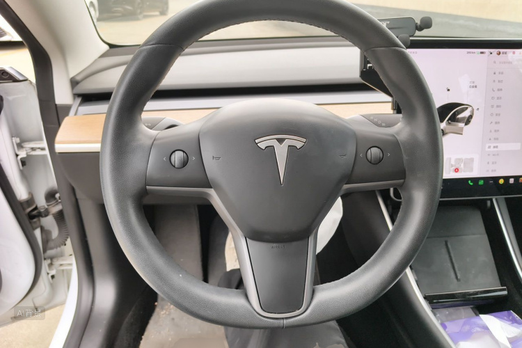 Tesla Model 3 2020 car image #12