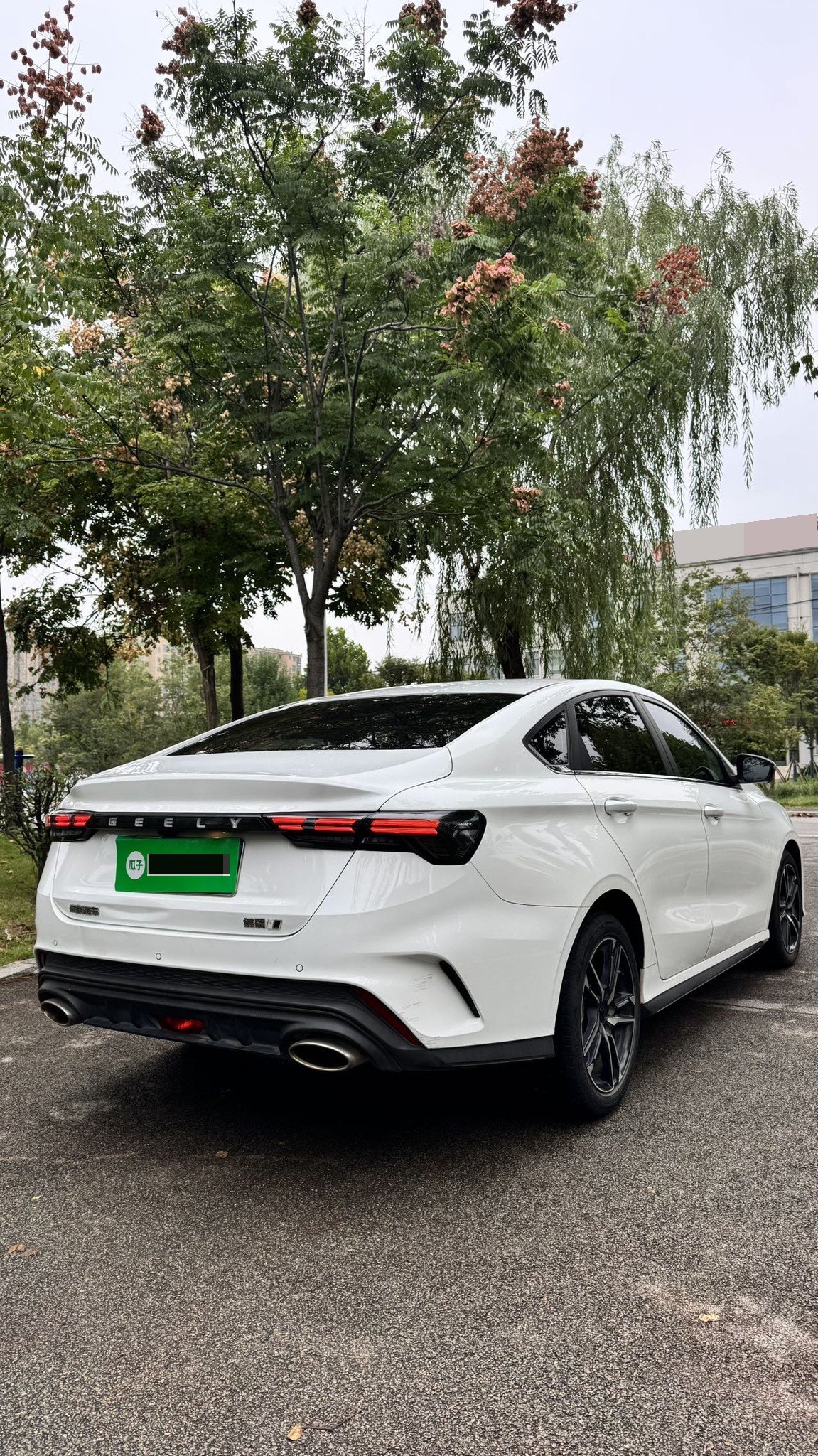 GEELY Binray 2023 immagine di auto #7