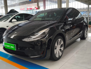 Tesla Model Y 2022 Tesla Model Y 2022 car image