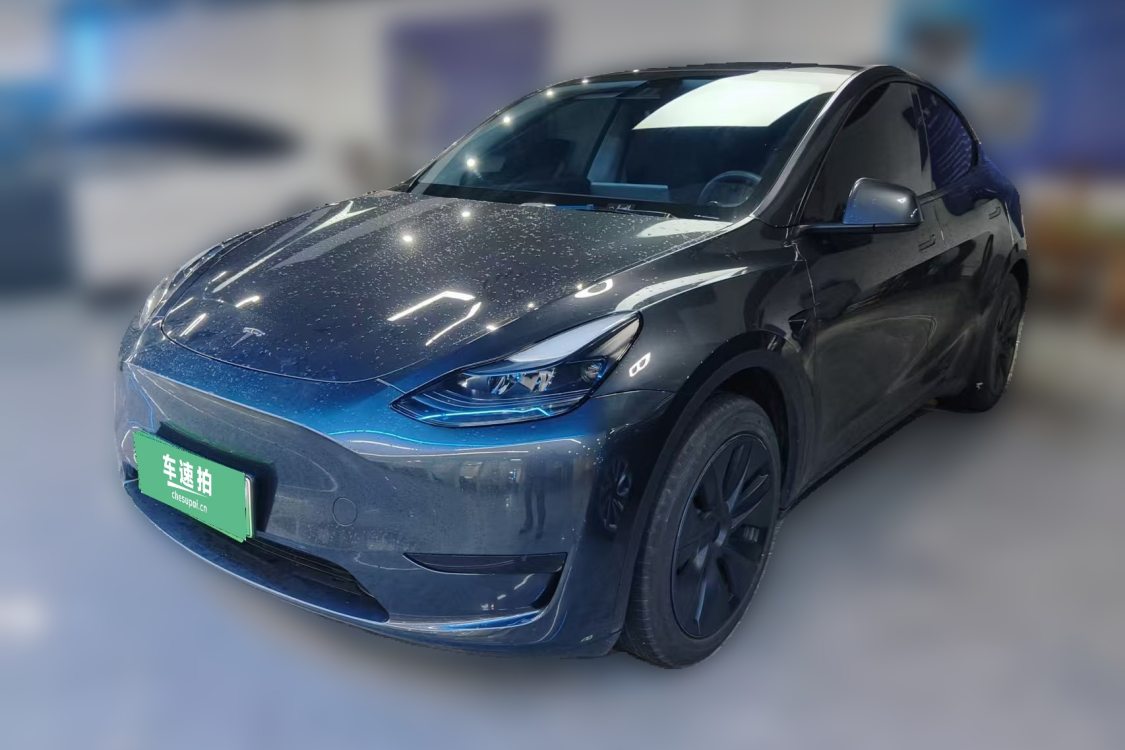 Tesla Model Y 2024 car image 