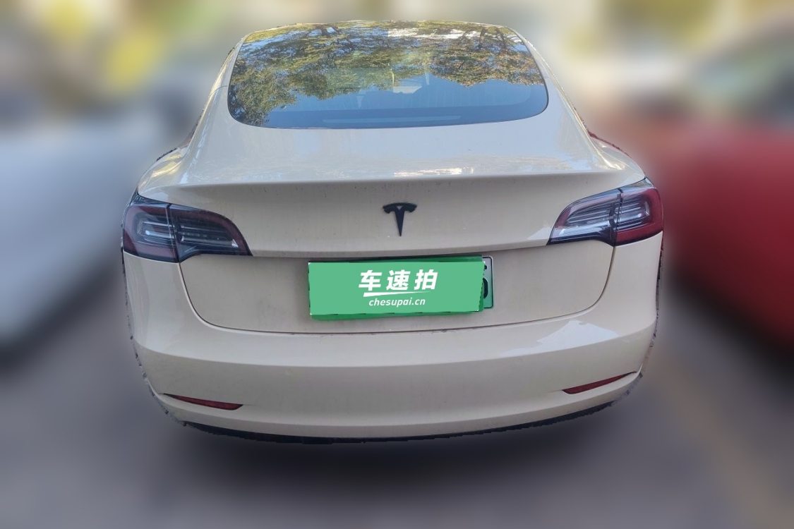Tesla Model 3 2020 car image #6