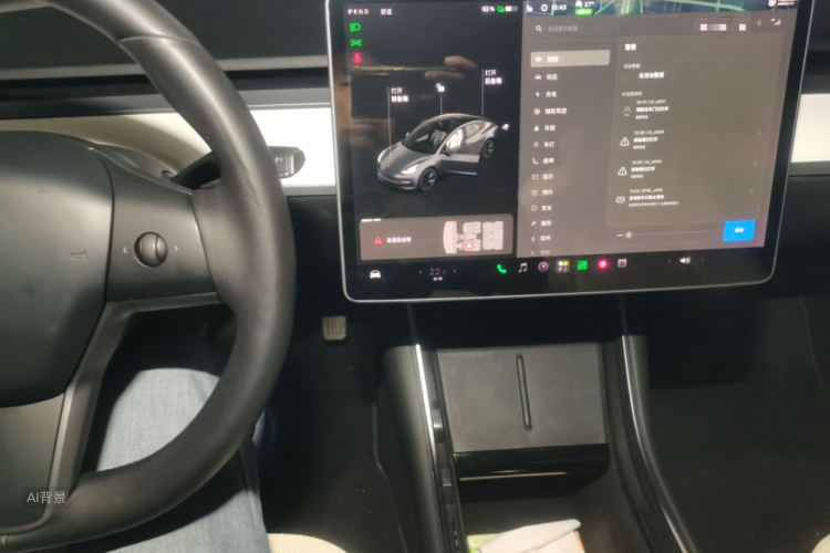 Tesla Model 3 2020 car image #15