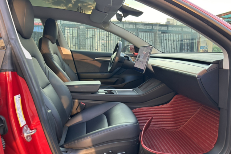 Tesla Model 3 2021 #17 Tesla Model 3 2021 صورة سيارة #17