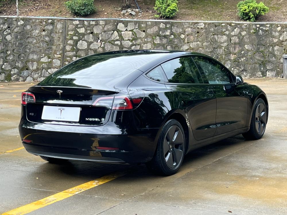 Tesla Model 3 2021 #6 Tesla Model 3 2021 car image #6