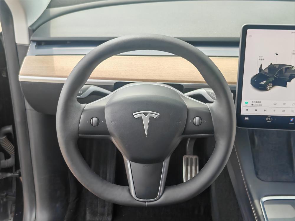 Tesla Model Y 2021 car image #11