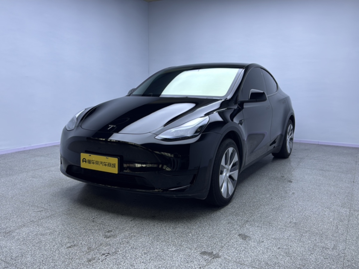 Tesla Model Y 2023 car image 