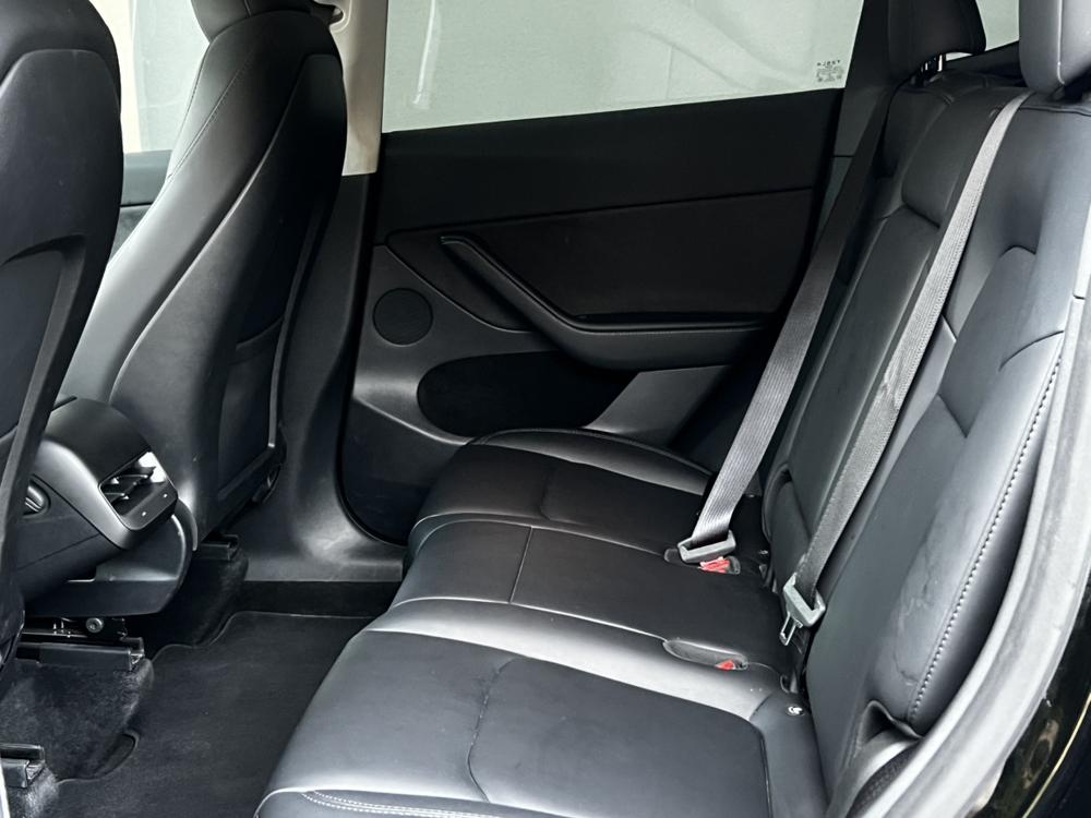 Tesla Model Y 2023 #25 Tesla Model Y 2023 car image #25