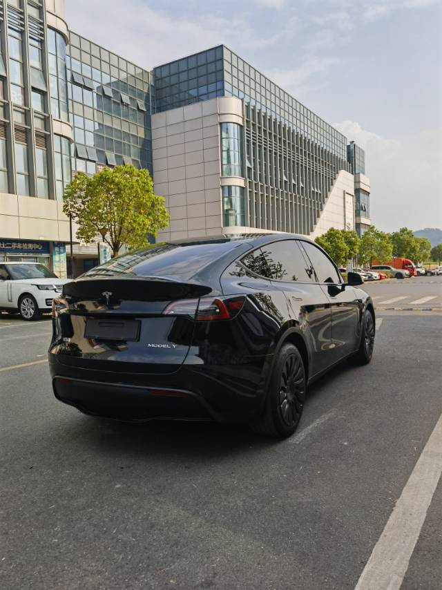 Tesla Model Y 2023 car image #6