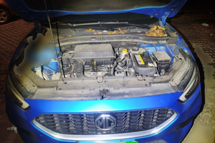 MG ZS 2019 #22 MG ZS 2019 car image #22