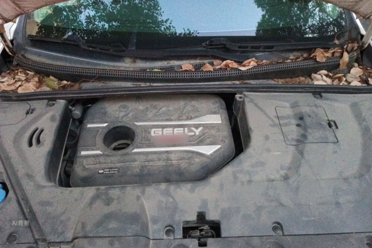GEELY Emgrand GS 2019 imagem de carro #22