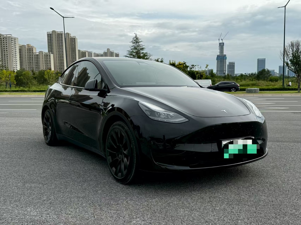 Tesla Model Y 2022 Tesla Model Y 2022 car image