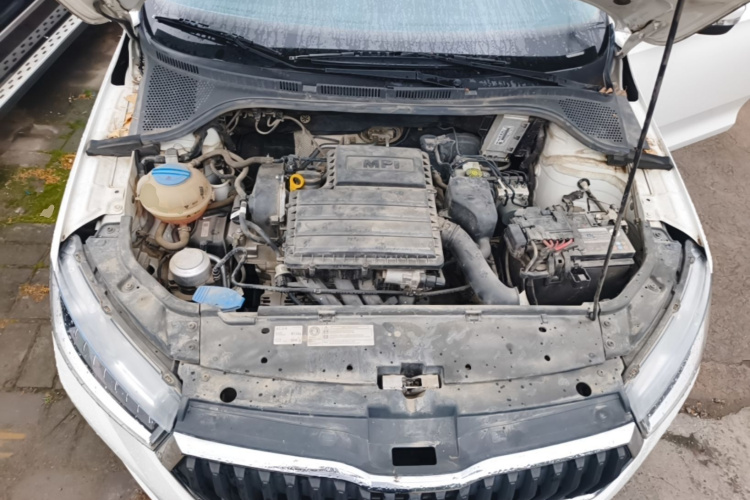 Skoda Rapid 2020 car image #20