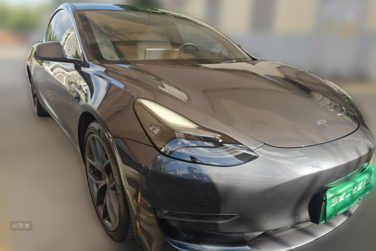 Tesla Model 3 2021 car image #4
