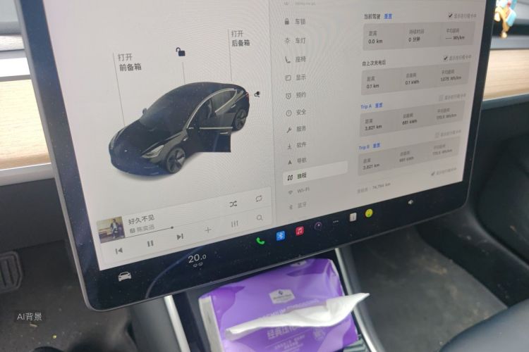 Tesla Model 3 2020 صورة سيارة #15