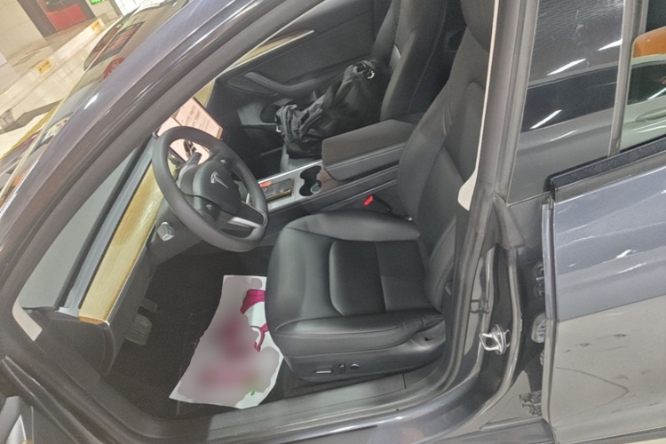 Tesla Model 3 2021 car image #15