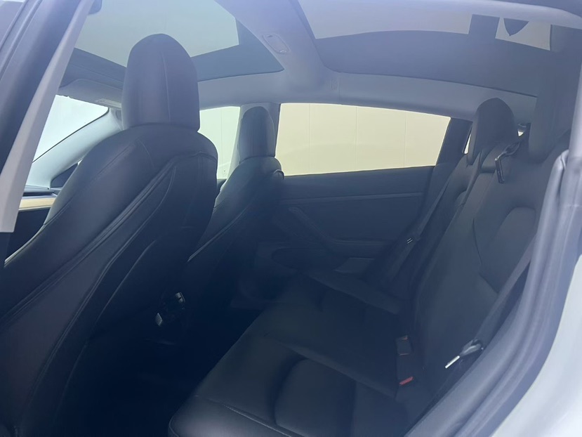 Tesla Model 3 2020 car image #8
