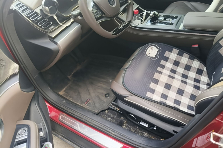 BYD Han 2023 imagen de coche #15